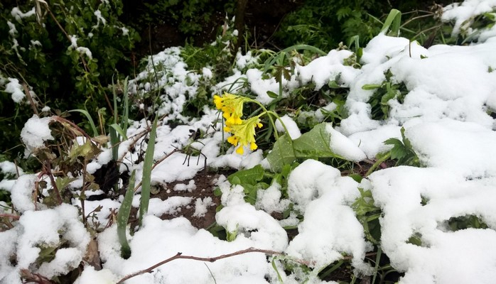 İqlimin ən təzadlı dövrü – Boz ay