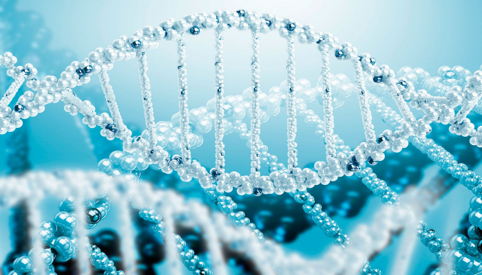 Ученые впервые омолодили людей на уровне ДНК