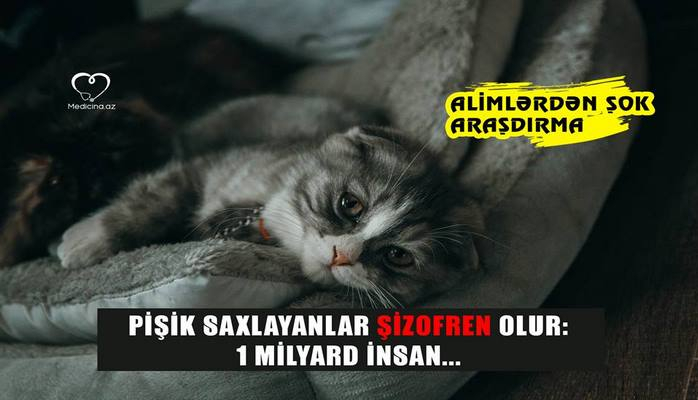 Pişik saxlayanlar şizofren olur
