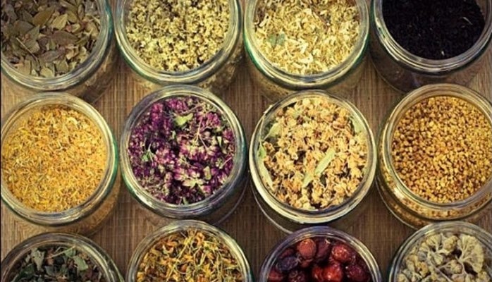 Fərqli bitki çayları – Orqanizmə necə təsir edir?