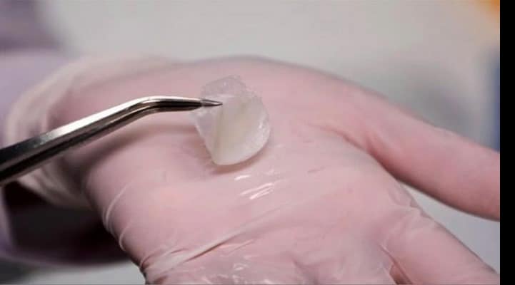 Российские ученые создали искусственную «человеческую» кожу