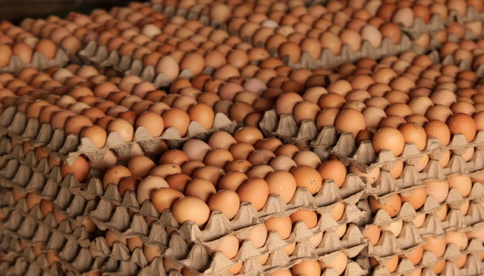 Toyuq yumurtaları sabunla yuyulmalıdır