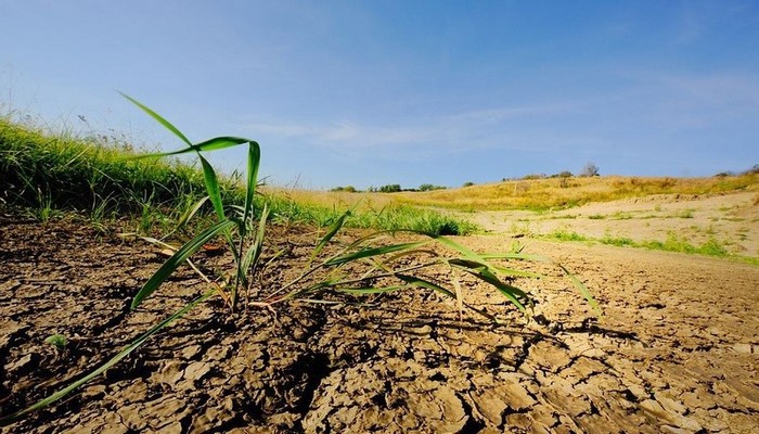 Abşeronda kənd təsərrüfatı torpaqları başqa təyinatlar üçün istifadə olunub