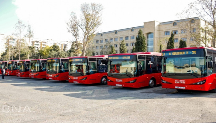 Gülşən Rzayeva: “Yeni avtobusların gətirilməsi əmək bazarının keyfiyyətini artırır”