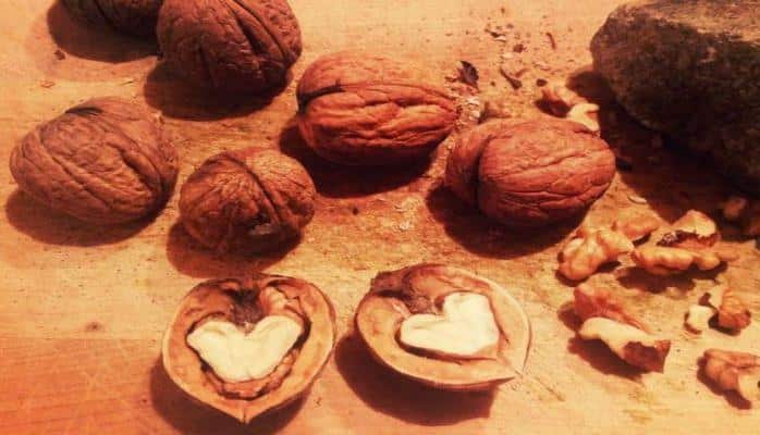 Ученные доказали, что грецкие орехи способствуют похудению
