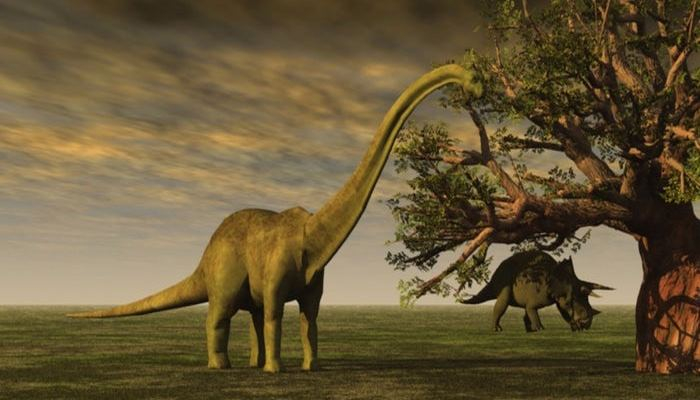 Bilim İnsanları: Birkaç Yıl İçerisinde Canlı Dinozorlar Göreceğiz