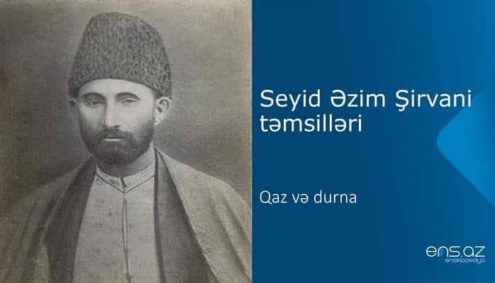 Seyid Əzim Şirvani - Qaz və durna