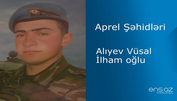 Vüsal Alıyev İlham oğlu