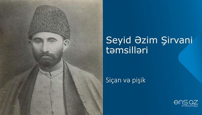 Seyid Əzim Şirvani - Siçan və pişik