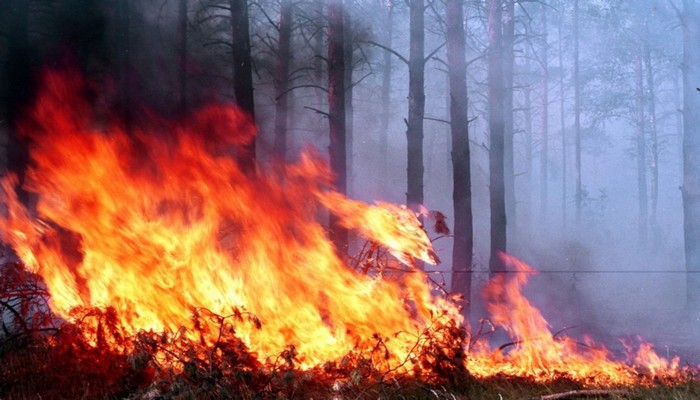 Ağdamın Gülablı kəndində başlayan yanğın Xocavənd rayonu ərazisinə keçib