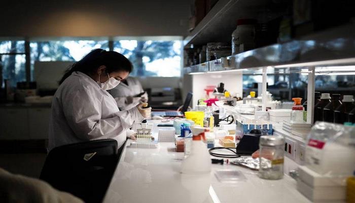 Alimlər at antitelləri əsasında koronavirusa qarşı dərman hazırlayırlar