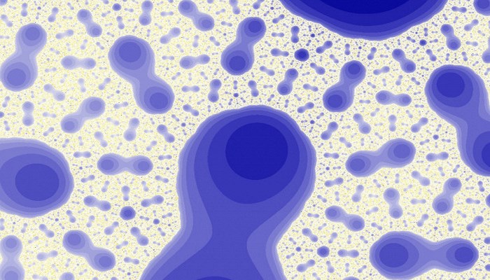 Alimlər bakteriyalarda "orqanlar" aşkar ediblər