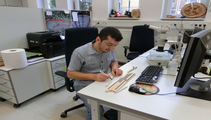 AMEA Mərkəzi Nəbatat Bağının əməkdaşları tərəfindən iqlim dəyişikliklərinin bitkilərə təsiri ilə bağlı maraqlı tədqiqatlar aparılıb