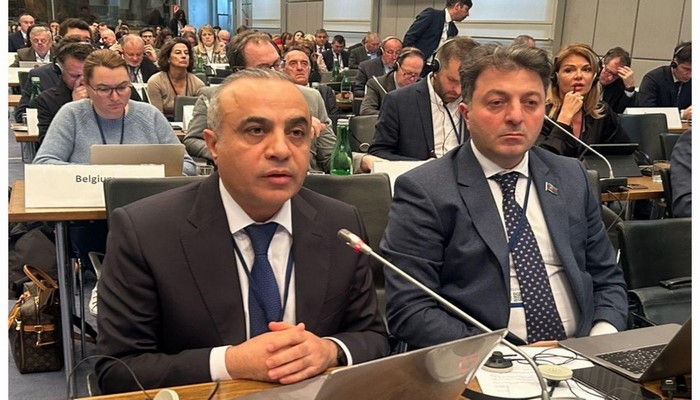 Azay Quliyev: Fransanın siyasəti Cənubi Qafqazın təhlükəsizliyinə xələl gətirir