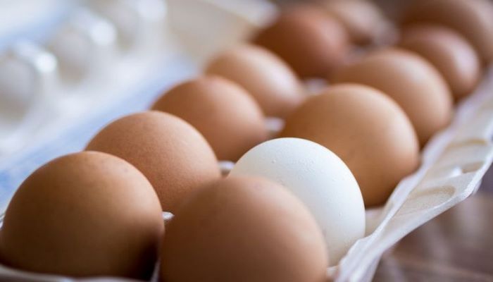 Azərbaycan Rusiyaya 36 ton yumurta ixrac etdi