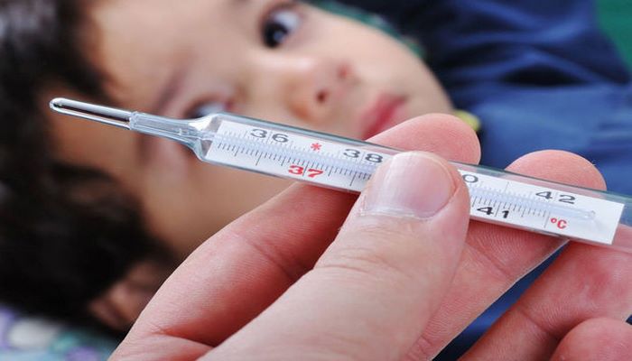 Azərbaycanda əhali arasında “tutuquşu” qızdırmasına yoluxma halları artır? - VİDEO