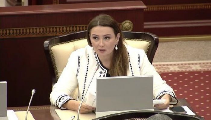 Azərbaycanda sonsuz ailələrin sayı çoxalır - Qənirə Paşayeva