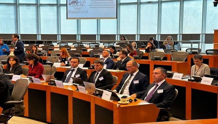 Azərbaycanlı deputat Avronest PA-nın komitə sədri seçildi