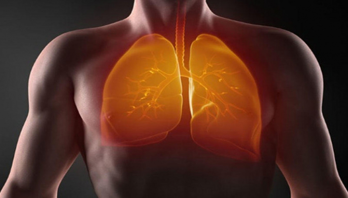 Ağciyərləri koronavirusdan qoruyan məhsullar açıqlandı