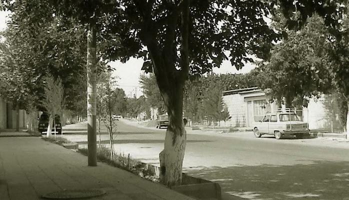 Азербайджанский город Барда и его древняя история (ФОТО)