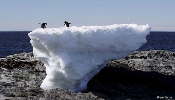 Температура в Антарктиде продолжает бить рекорды