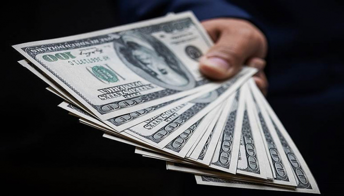 İnvestorlar İEOÖ bazarlarından 7 milyard dollardan çox vəsait çıxarıb