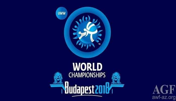 Азербайджанский спортсмен завоевал "серебро" на чемпионате мира
