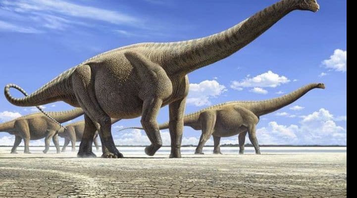Гигантские динозавры передвигались на двух ногах