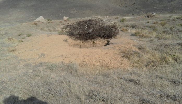 В Ярдымлы проводились незаконные раскопки на территории археологического памятника