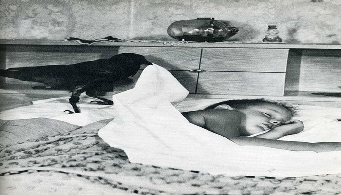 Исторические кадры, сделанные в нужный момент