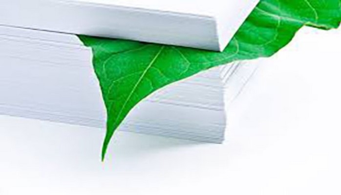 Экономия или переработка тонны бумаги позволяет «спасти» 17 деревьев