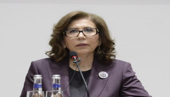 Bahar Muradova: "Gender bərabərliyi ilə bağlı fəaliyyət planı yaxın günlərdə təsdiq olunacaq"