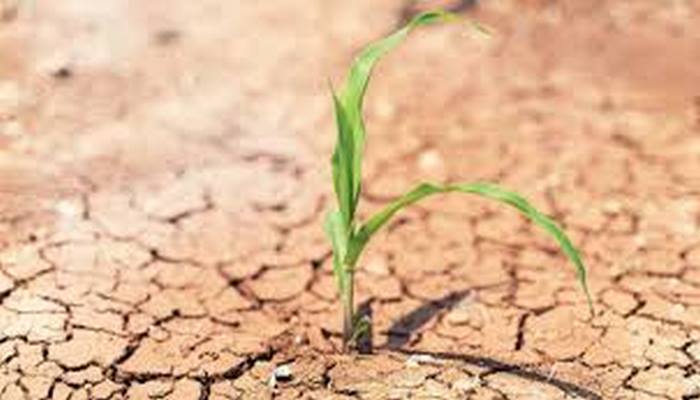 Bakanlıktan ‘Yağışlar azalacak, verim düşecek’ uyarısı… Tarımda kritik rapor