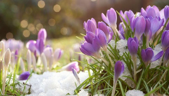 Bayramın ikinci gününün havası açıqlandı