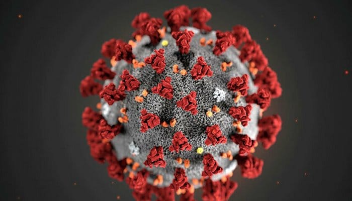 Uzmanlar açıkladı: Virüs insan üretimi olamaz