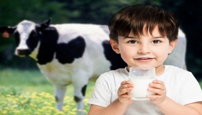 Коровье молоко отлично борется с коронавирусом