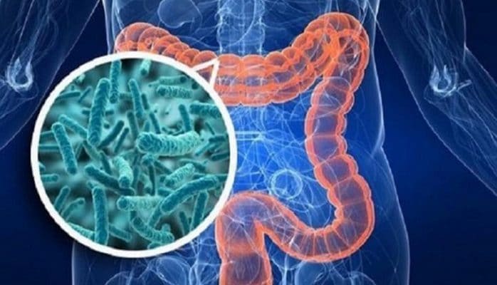 İkinci beyin”i necə işlədək? – Bu dərmanlardan imtina edin