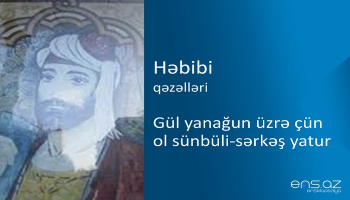 Həbibi - Gül yanağun üzrə çün ol sünbüli-sərkəş yatur
