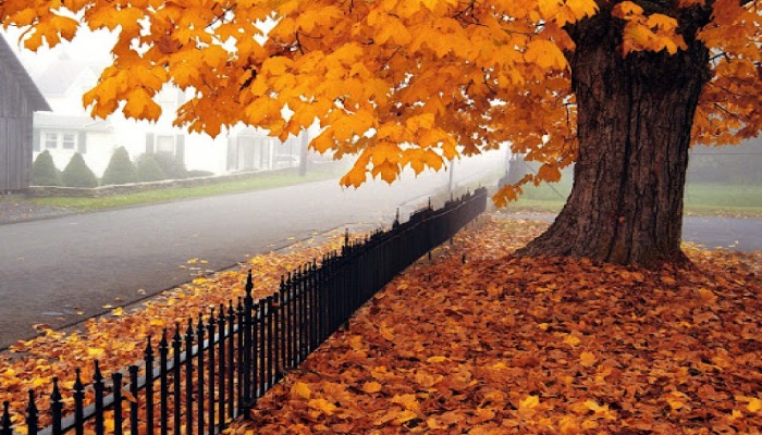 Bəzi yerlərdə hava şəraiti qısa müddətə dəyişib, yüksək dağlıq ərazilərdə qar yağıb