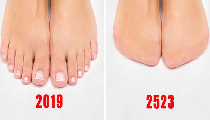 İnsan gələcəkdə 14 bədən hissəsini itirəcək