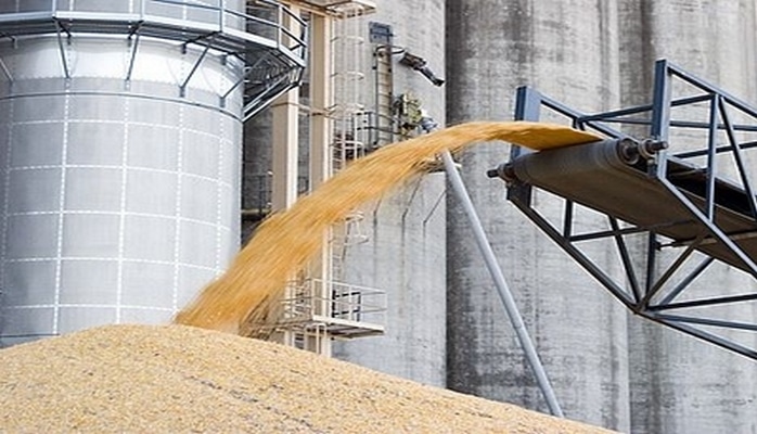 Бразилия увеличит импорт пшеницы на 11% в 2019 году
