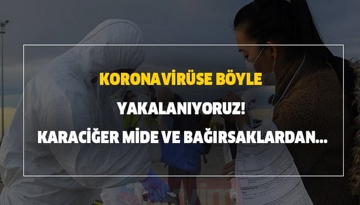 Böyle yakalanıyoruz! Karaciğer, mide, bağırsaklardan sinir sistemine kadar..