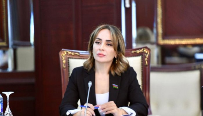 Böyük Qayıdış strategiyası Qarabağı və Şərqi Zəngəzuru yeni inkişaf modelinə çevirməyi hədəfləyir – RƏY