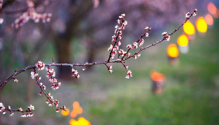 Bu gün Yel çərşənbəsidir