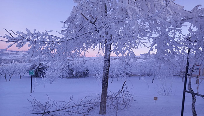 Bu rayonlara qar yağıb