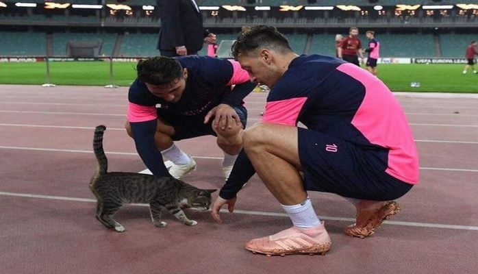 Игроки «Арсенала» поиграли с бакинской кошкой