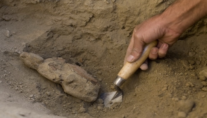 Çində 17 min il yaşı olan saxsı qabın parçası tapılıb