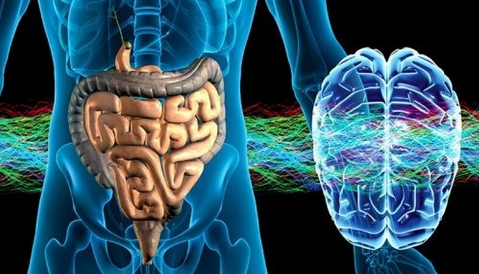Возрастные изменения в кишечнике повысили риск  развития сердечно-сосудистых заболеваний.