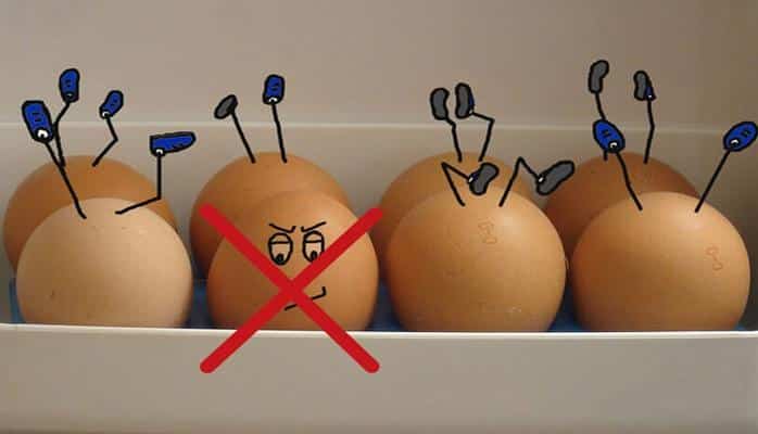 Yumurtanın saxlanılması ilə bağlı bilmədiyiniz 5 fakt