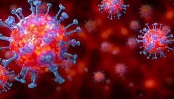 ELİSA testi ile hem corona virüsü hem de antikorun düzeyi tespit ediliyor